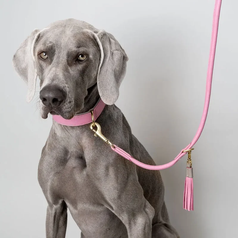 Lederhalsband „Doublé Classic“ – Rose Taupe