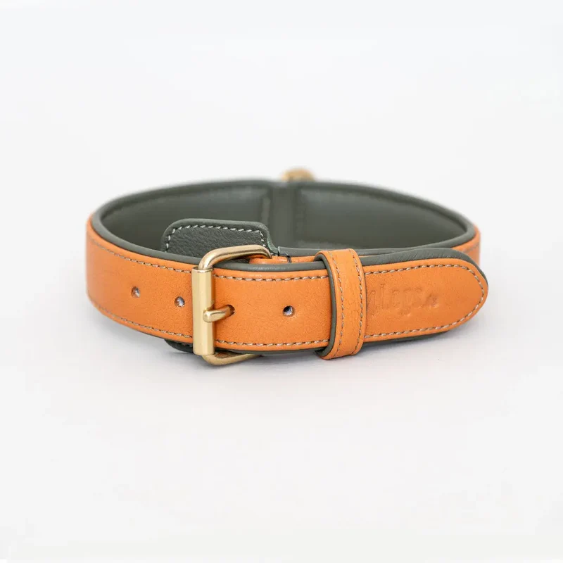 Lederhalsband „Doublé Classic“ – Orange Oliv