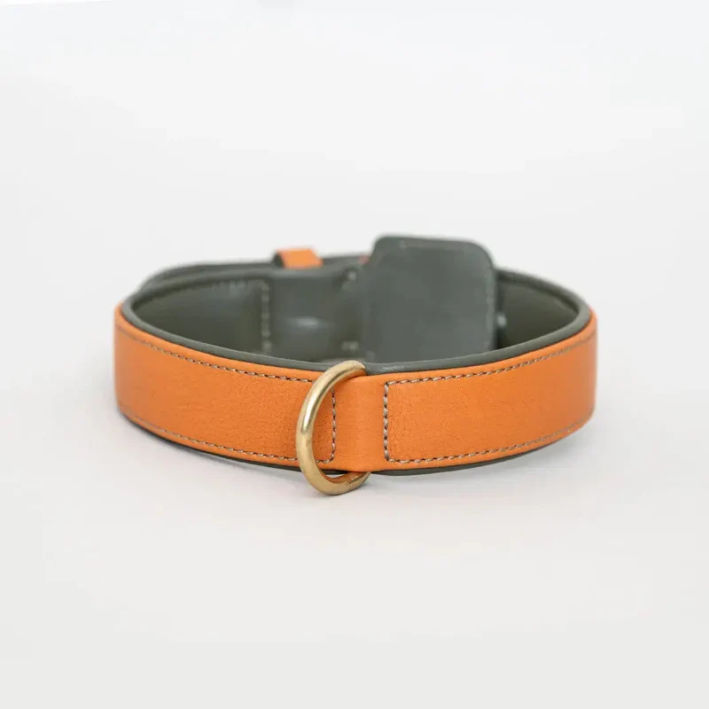Lederhalsband „Doublé Classic“ – Orange Oliv