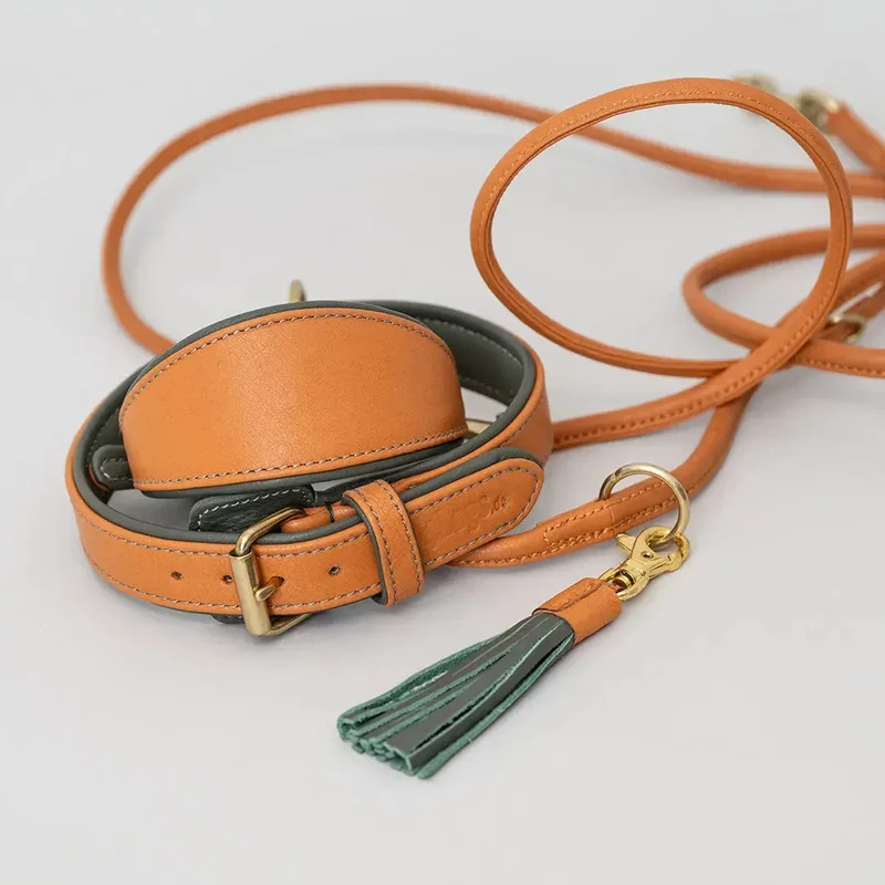 Lederhalsband „Doublé Classic“ – Orange Oliv