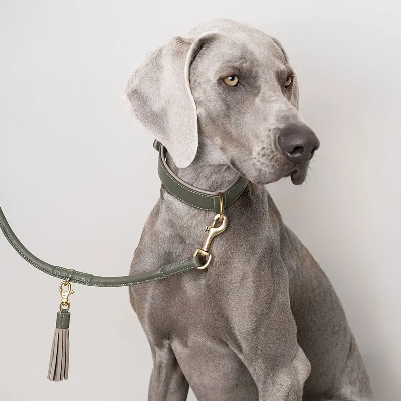 Lederhalsband „Doublé Classic“ – Oliv / Taupe