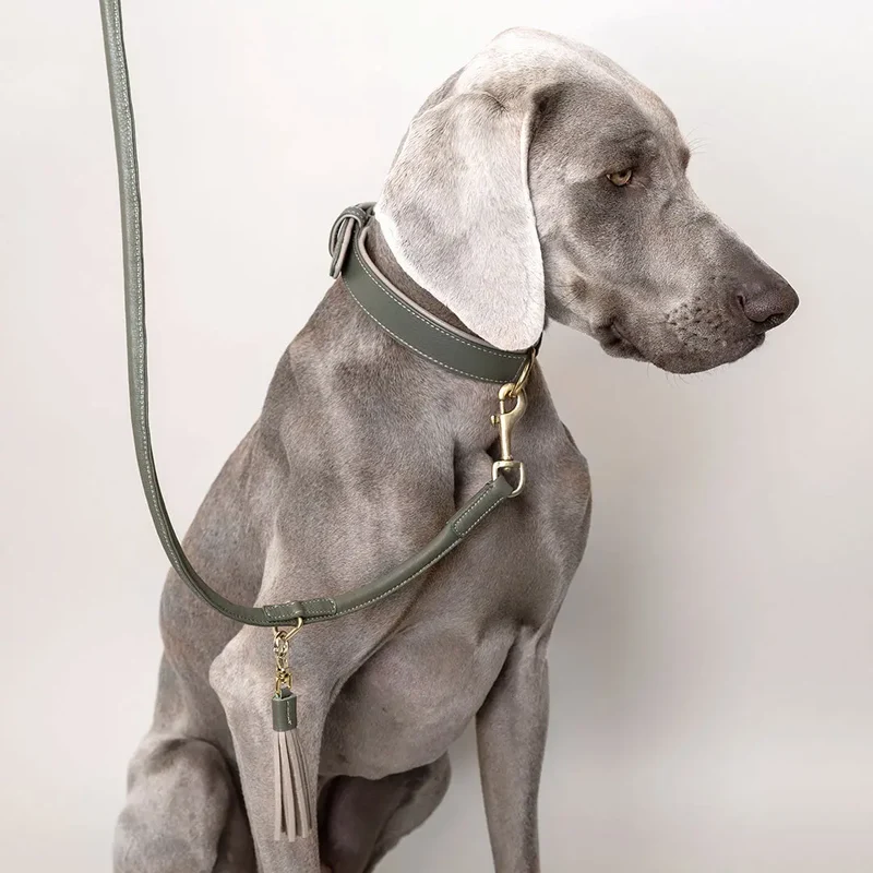 Lederhalsband „Doublé Classic“ – Oliv / Taupe