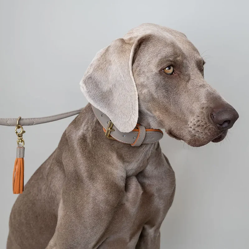Lederhalsband „Doublé Classic“ – Taupe / Orange