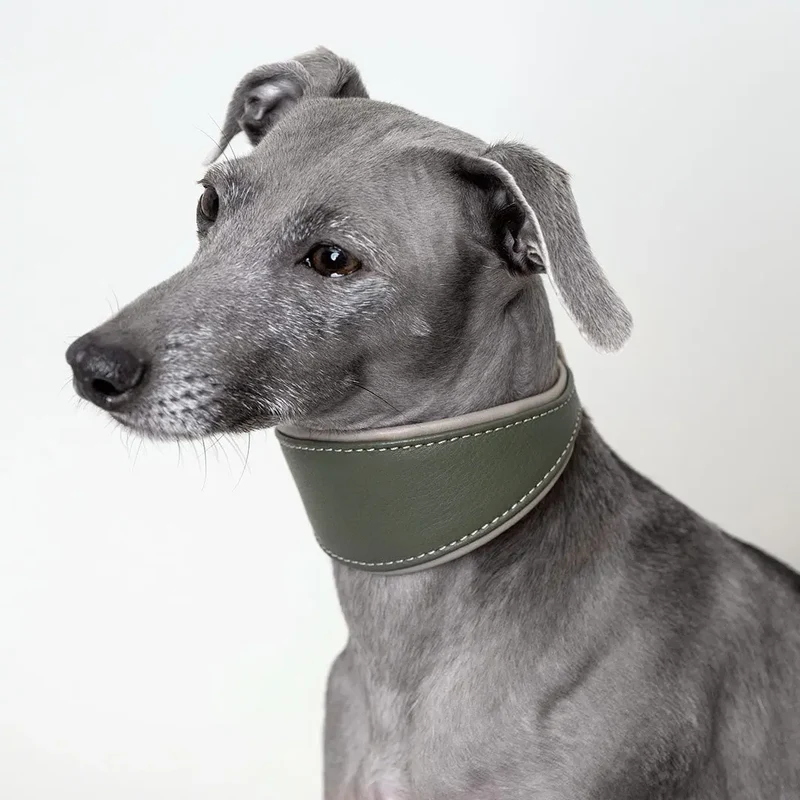 Windhund-Lederhalsband - "Doublé Greyhound" - Oliv