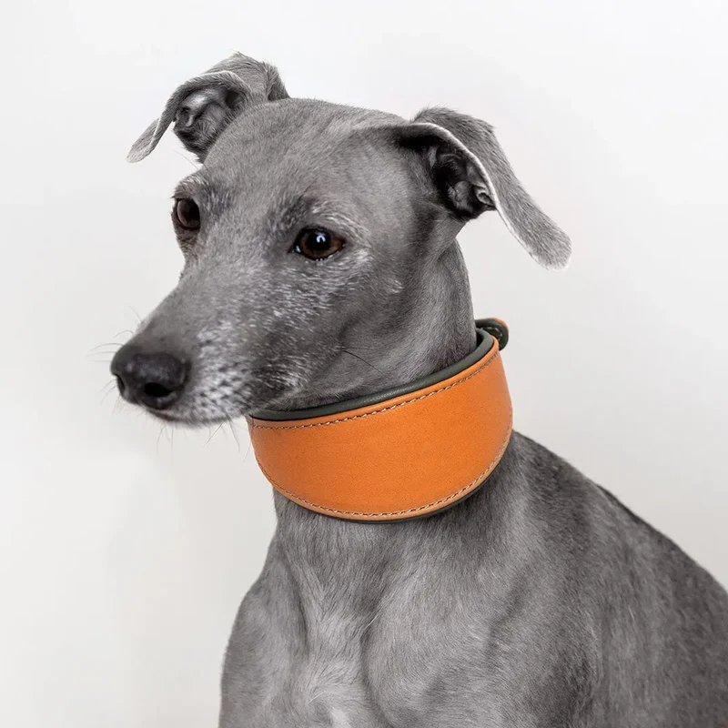 Windhund-Lederhalsband - "Doublé Greyhound" - Orange
