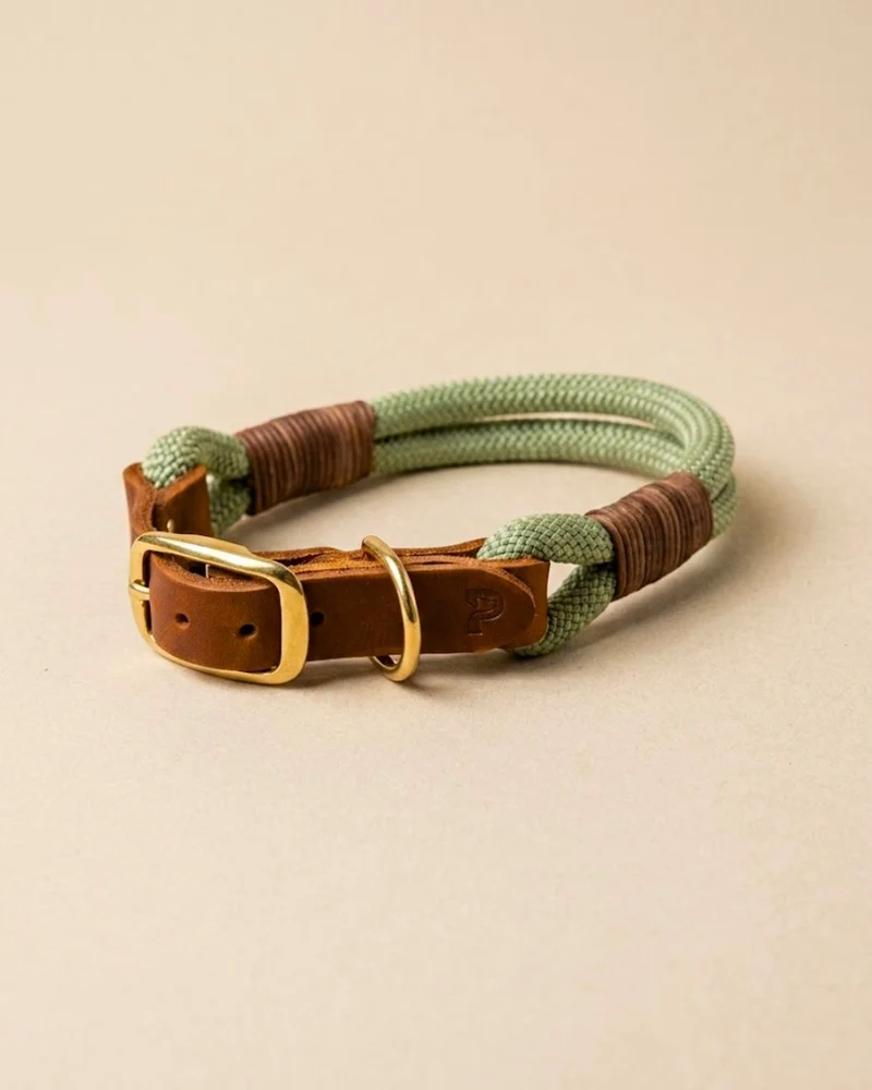 B:Ware | Tauhalsband 'Cleo'