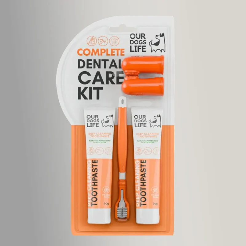 Dental Care Set
