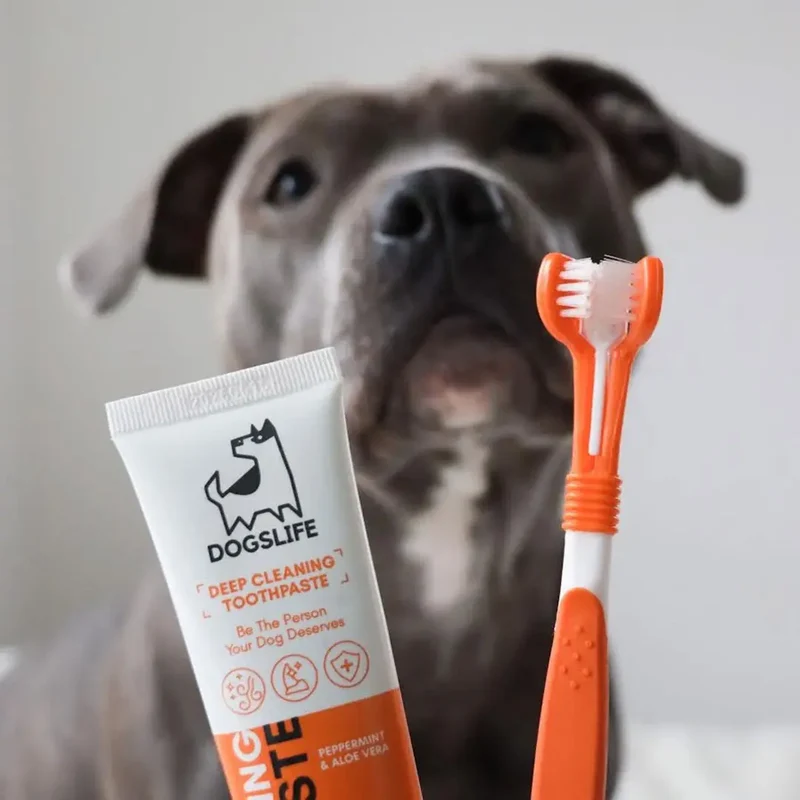 Dental Care Set