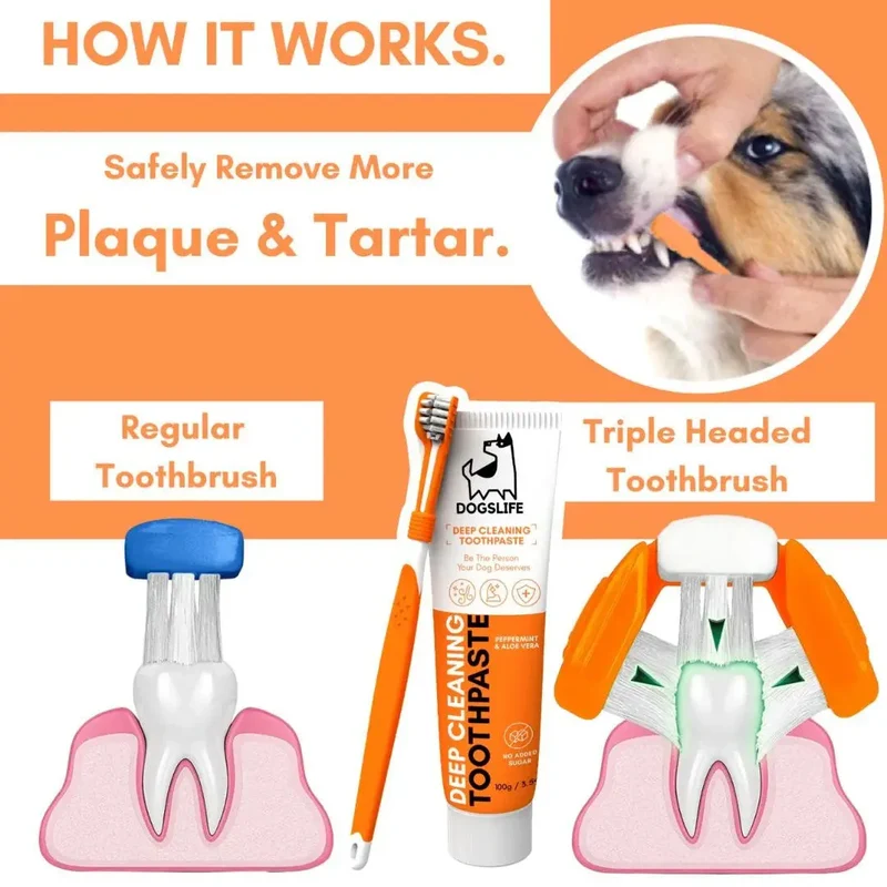 Dental Care Set