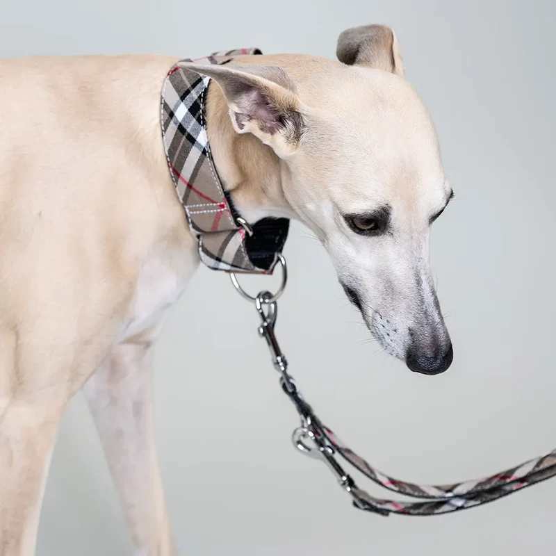 Martingale Halsband - "Notting Hill"