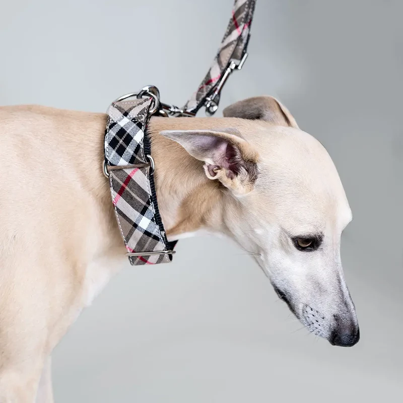 Martingale Halsband - "Notting Hill"