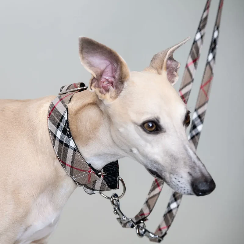 Martingale Halsband - "Notting Hill"