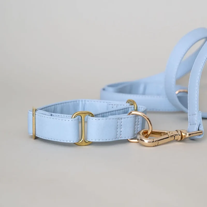 Hundeleine „Vegan“ BLEU