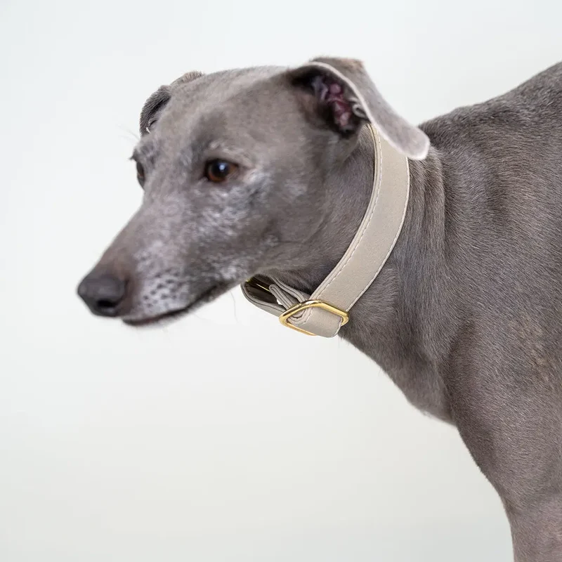 Martingale Halsband - "Vegan" TAUPE