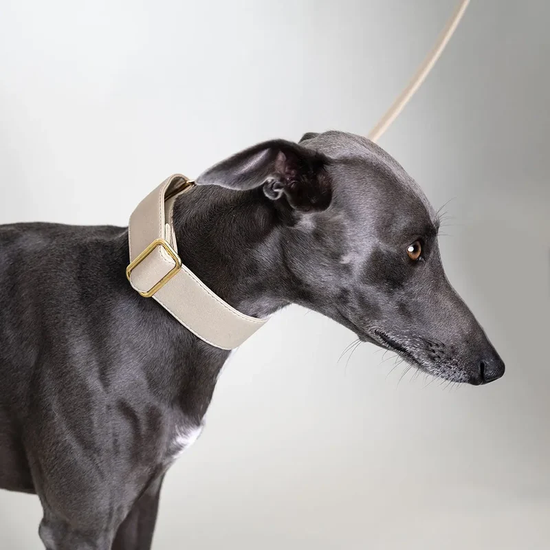 Martingale Halsband - "Vegan" TAUPE
