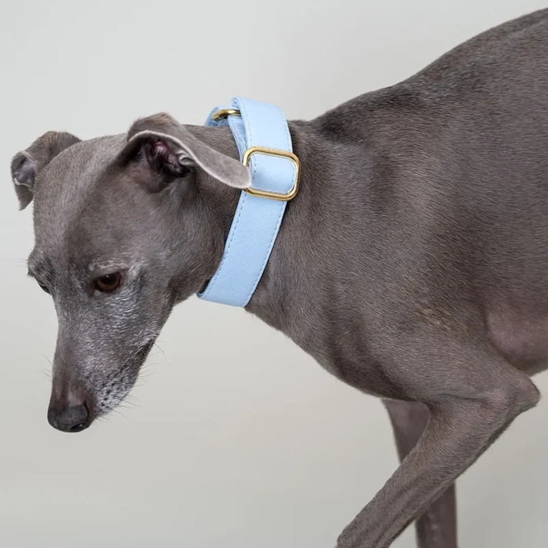 Martingale Halsband - "Vegan" BLEU