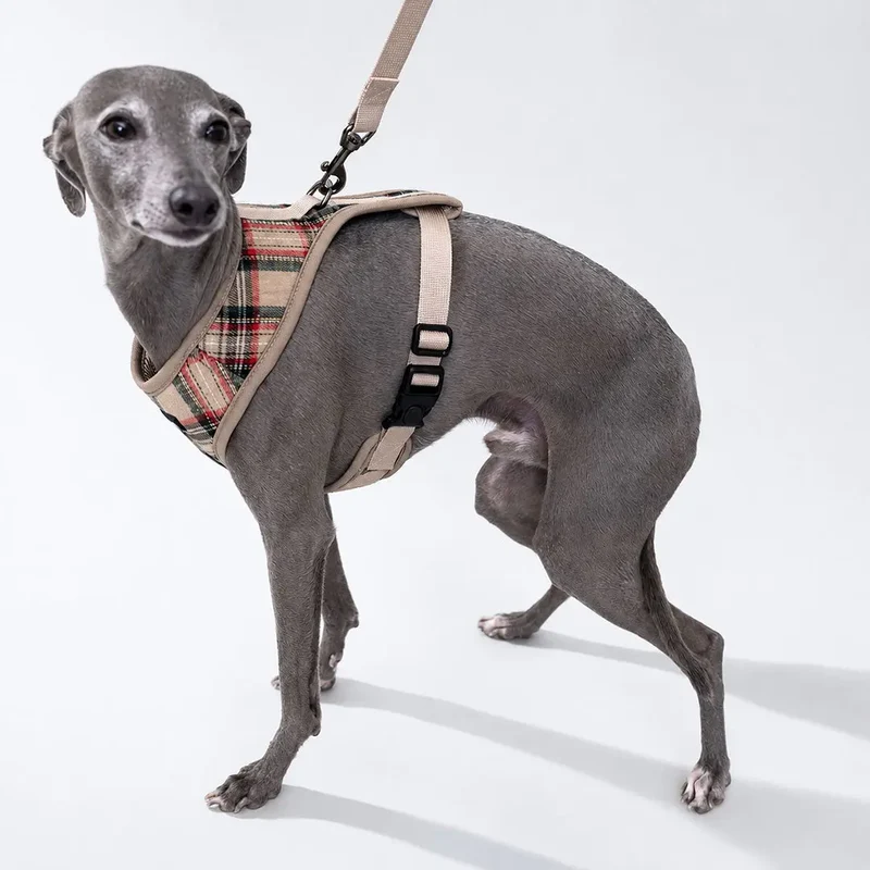 Hundegeschirr inklusive Leine - "Highland" - beige