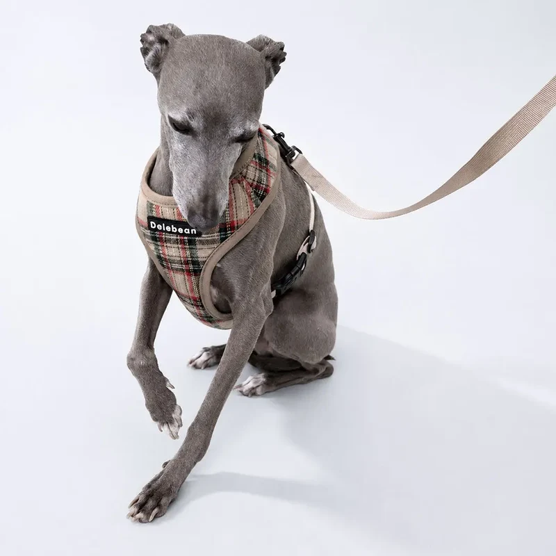 Hundegeschirr inklusive Leine - "Highland" - beige
