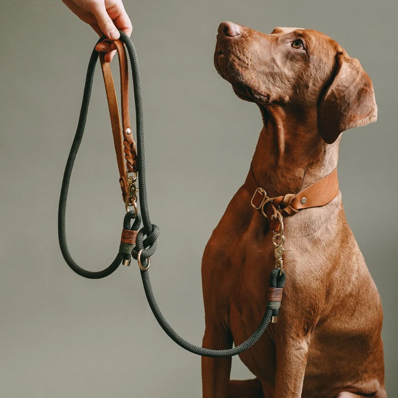 Zugstopp-Halsband aus Fettleder 'Cognac'