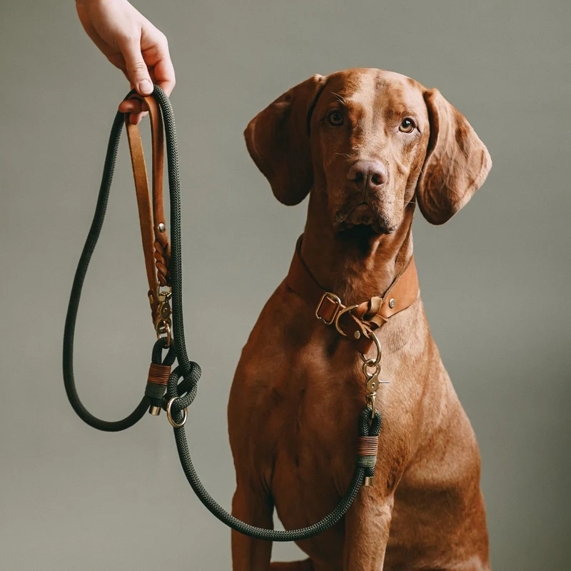 Zugstopp-Halsband aus Fettleder 'Cognac'