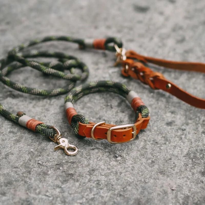DESIGN YOUR OWN | Verstellbares Halsband & Tauleine