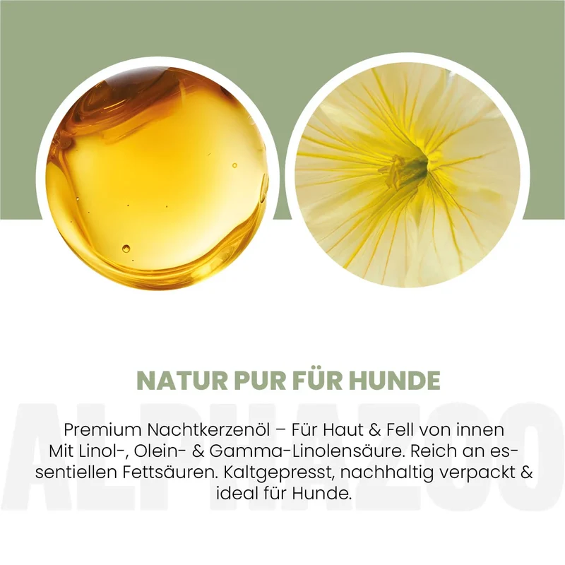 Nachtkerzenöl für Hunde