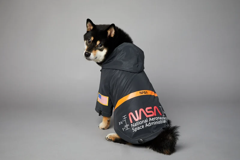 NASA Reflective Space Suit - Fancy Regenmantel für Hunde!