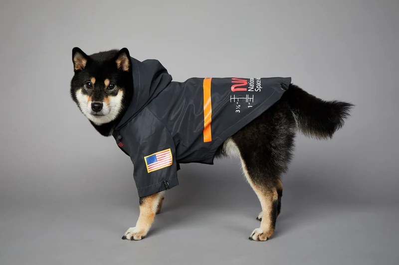 NASA Reflective Space Suit - Fancy Regenmantel für Hunde!