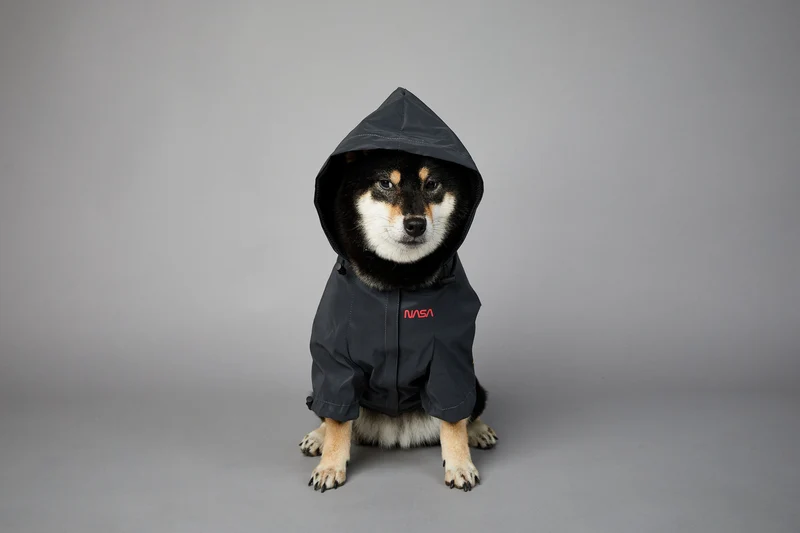 NASA Reflective Space Suit - Fancy Regenmantel für Hunde!
