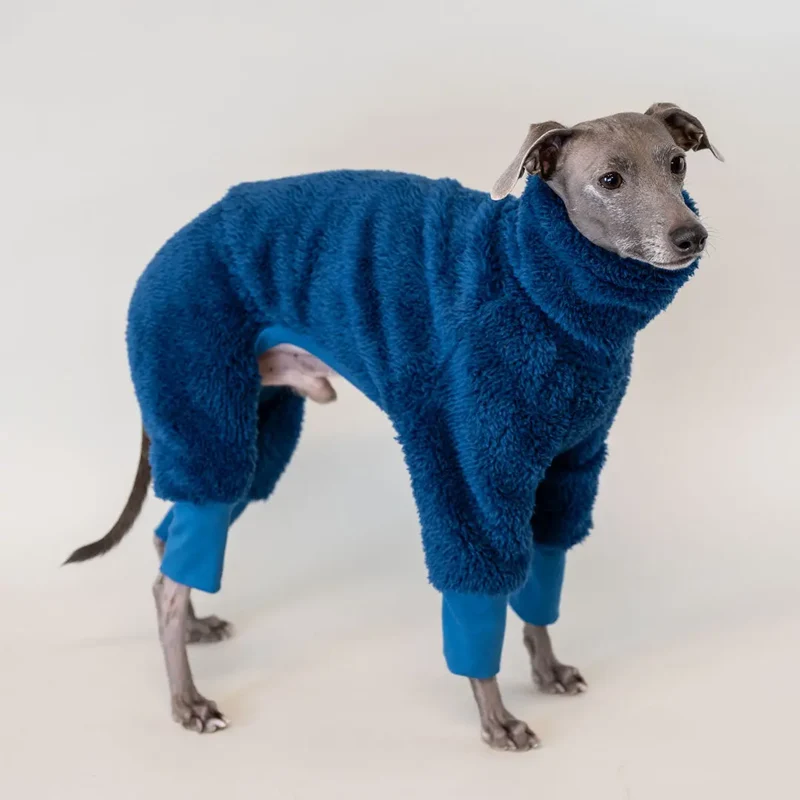 Hunde-Overall Fozzie – Petrol