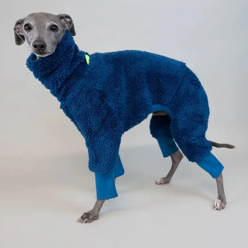 Hunde-Overall Fozzie – Petrol