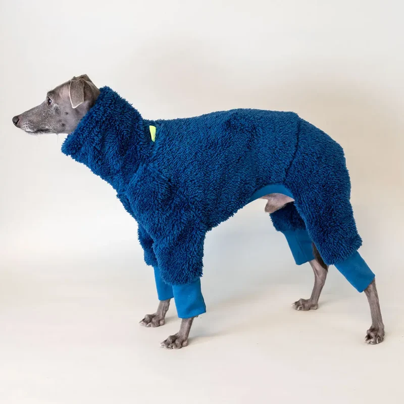Hunde-Overall Fozzie – Petrol