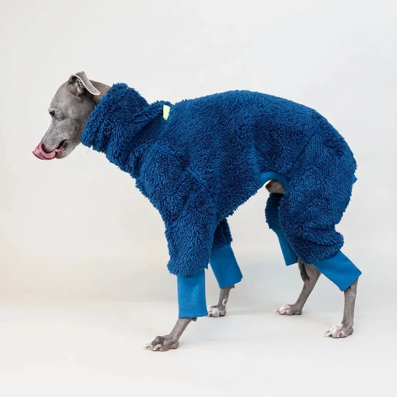 Hunde-Overall Fozzie – Petrol
