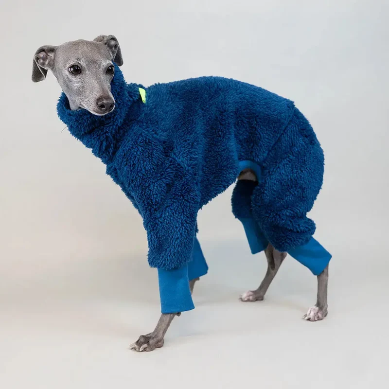 Hunde-Overall Fozzie – Petrol
