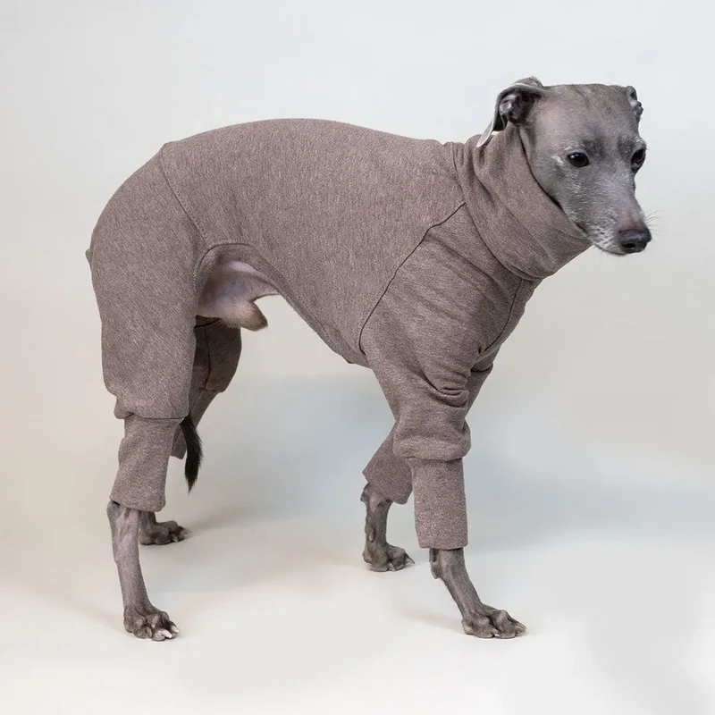 Hunde-Overall Homewear – Beige