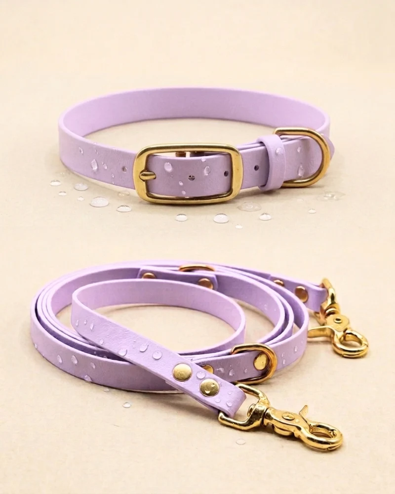 Set | Halsband & Leine aus Biothane® 'Lavendel'