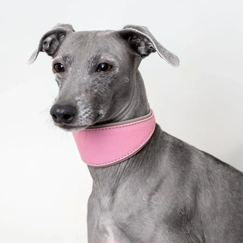 Windhund-Lederhalsband - "Doublé Greyhound" - Rose