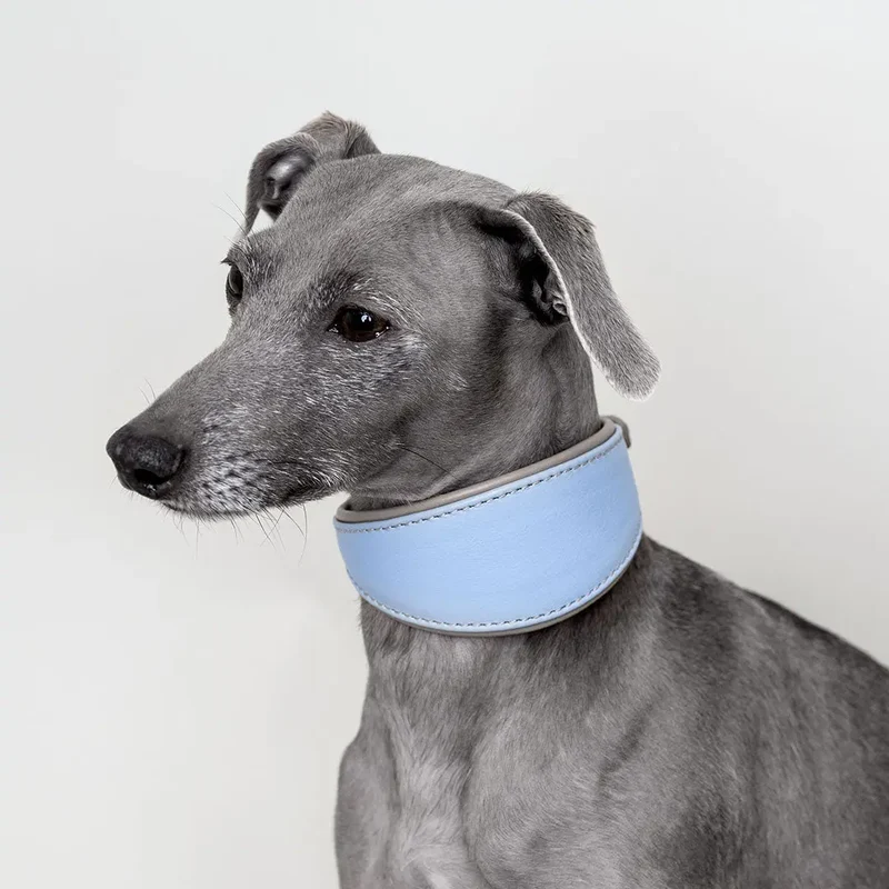 Windhund-Lederhalsband - "Doublé Greyhound" - Bleu