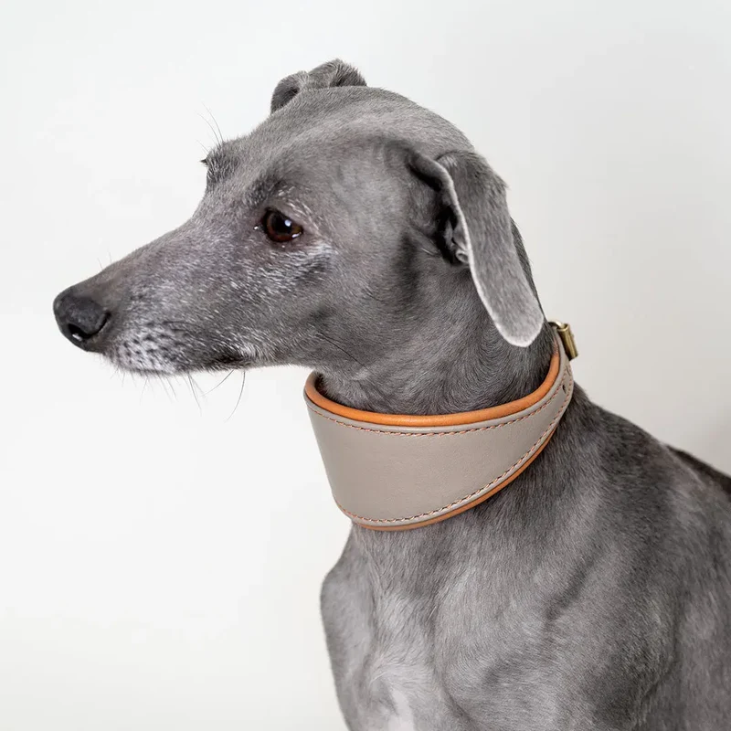 Windhund-Lederhalsband - "Doublé Greyhound" - Taupe