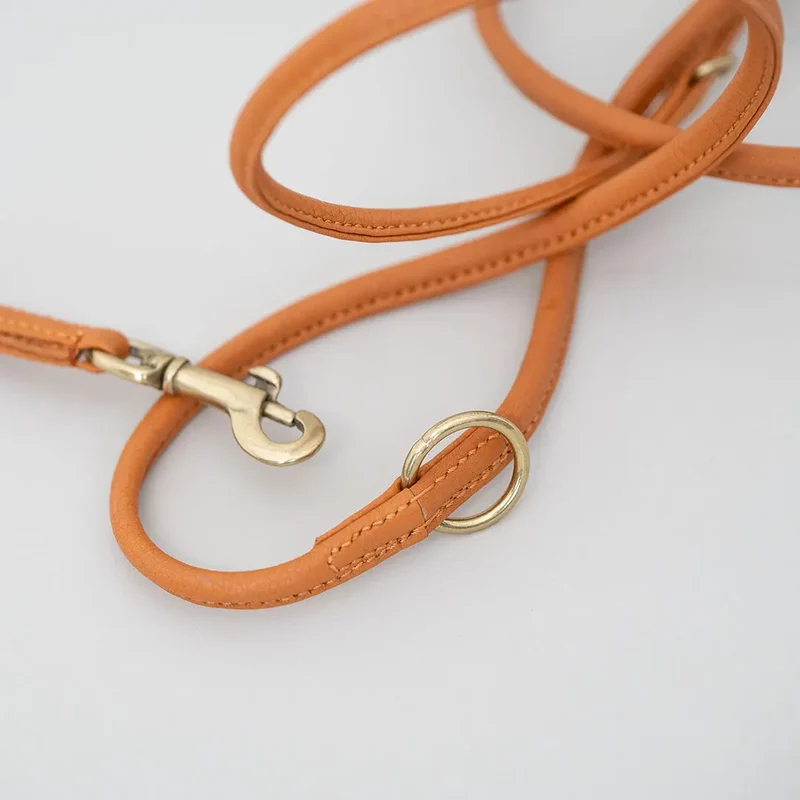 Hundeleine aus Nappaleder "Rolled Nappa" - orange