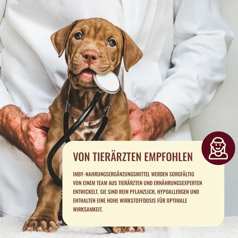"Allergy&Itch" Ergänzungsfuttermittel für Hunde