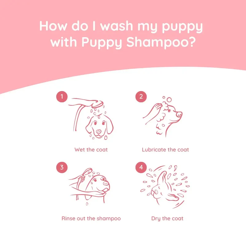 "Puppy Careset" für Welpen
