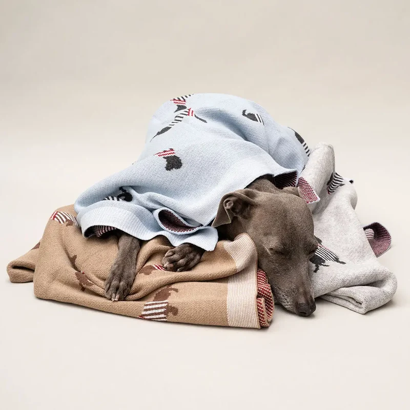 Hundedecke "French Cotton"