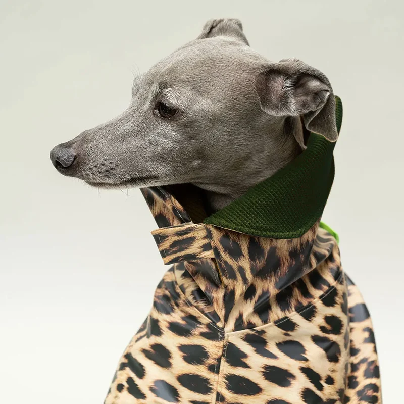 Wetterfester Regenmantel "Safe from Rain" Leo