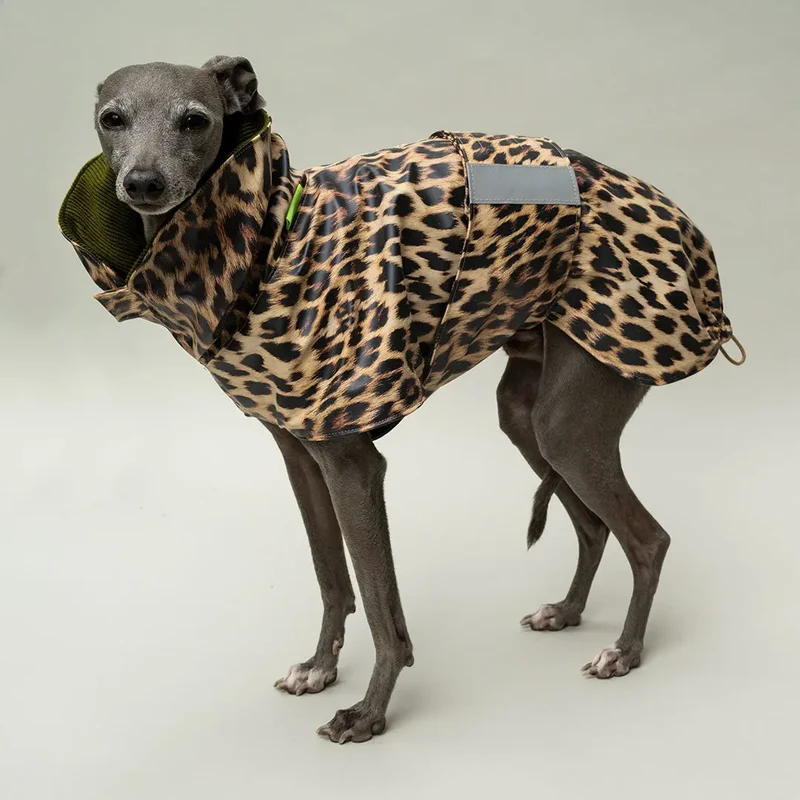 Wetterfester Regenmantel "Safe from Rain" Leo