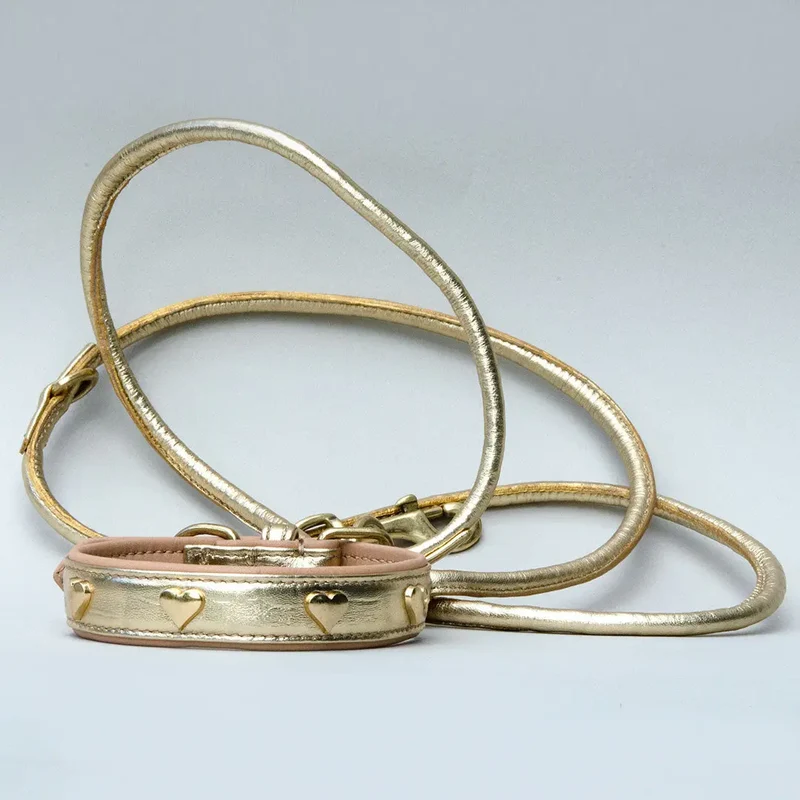 Gepolstertes Lederhalsband "Golden Glam" - Gold