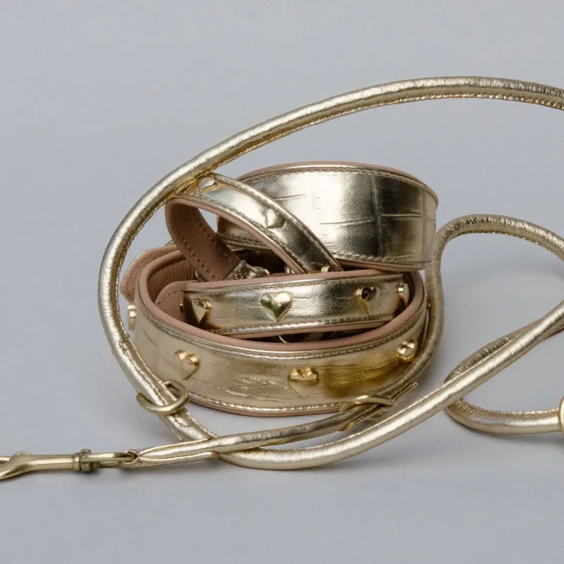 Gepolstertes Lederhalsband "Golden Glam" - Gold