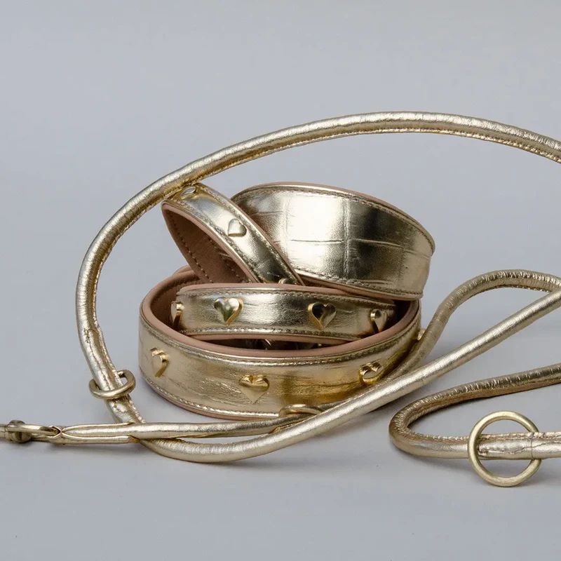 Gepolstertes Lederhalsband "Golden Glam" - Gold