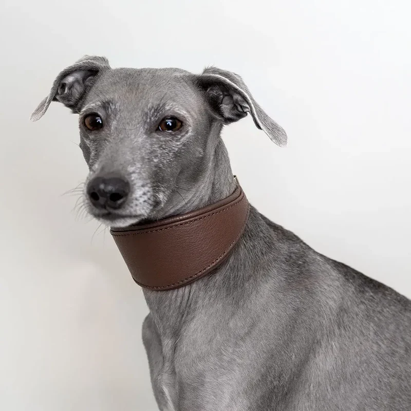Windhundhalsband - "Greyhound Supersoft" brown