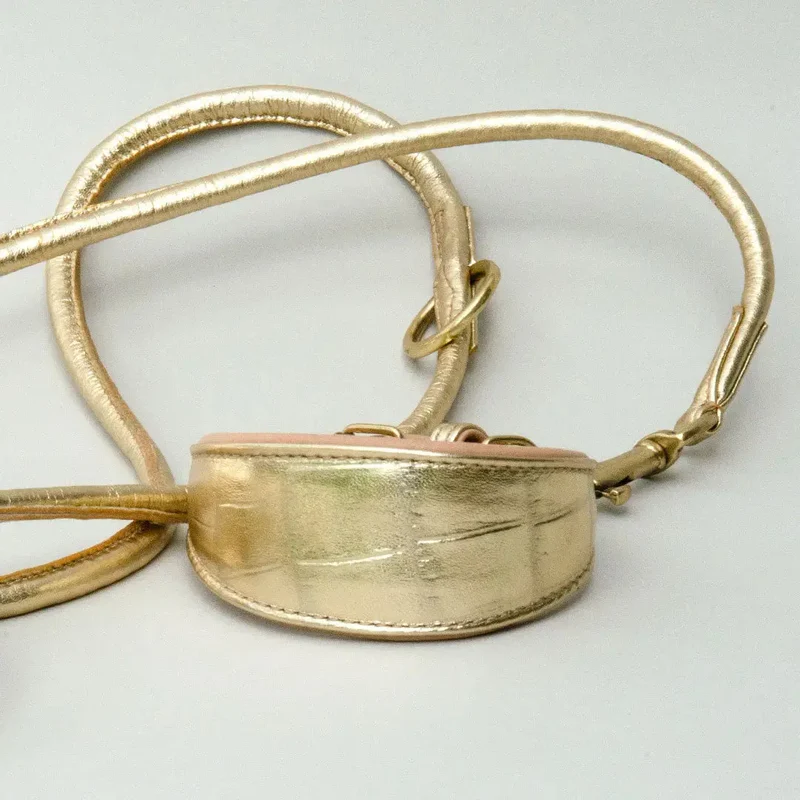 Hundeleine aus Leder "Golden Glam"
